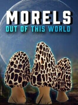 Morels: Out of This World